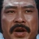 龍飛