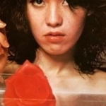 芹明香