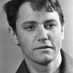 Владимир Земляникин