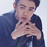 Yi Zhengfu