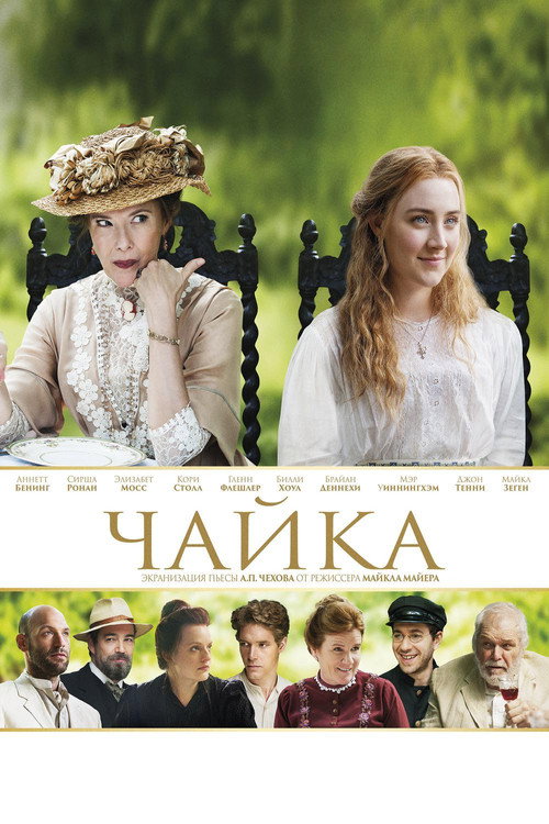 Чайка